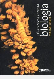 alternative text