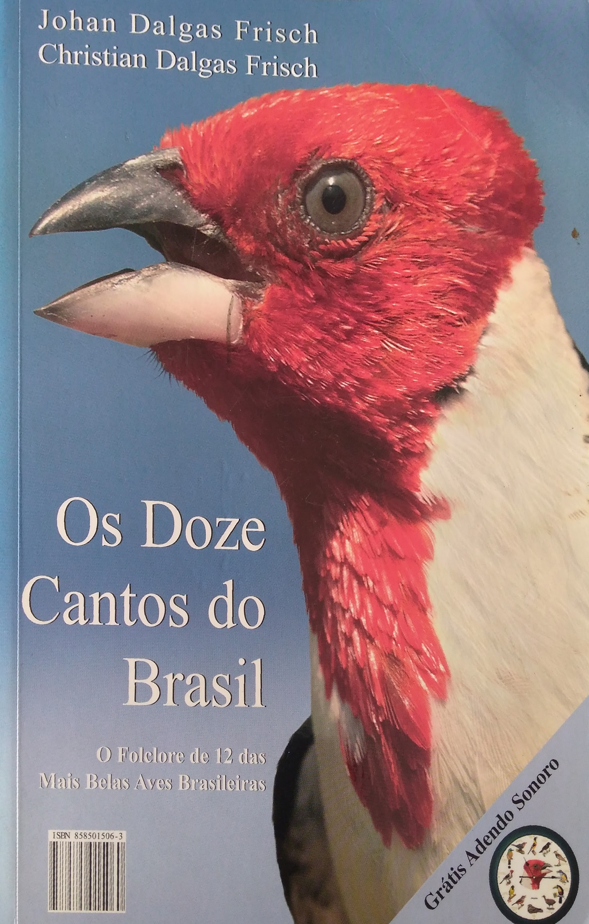 alternative text