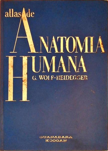 alternative text