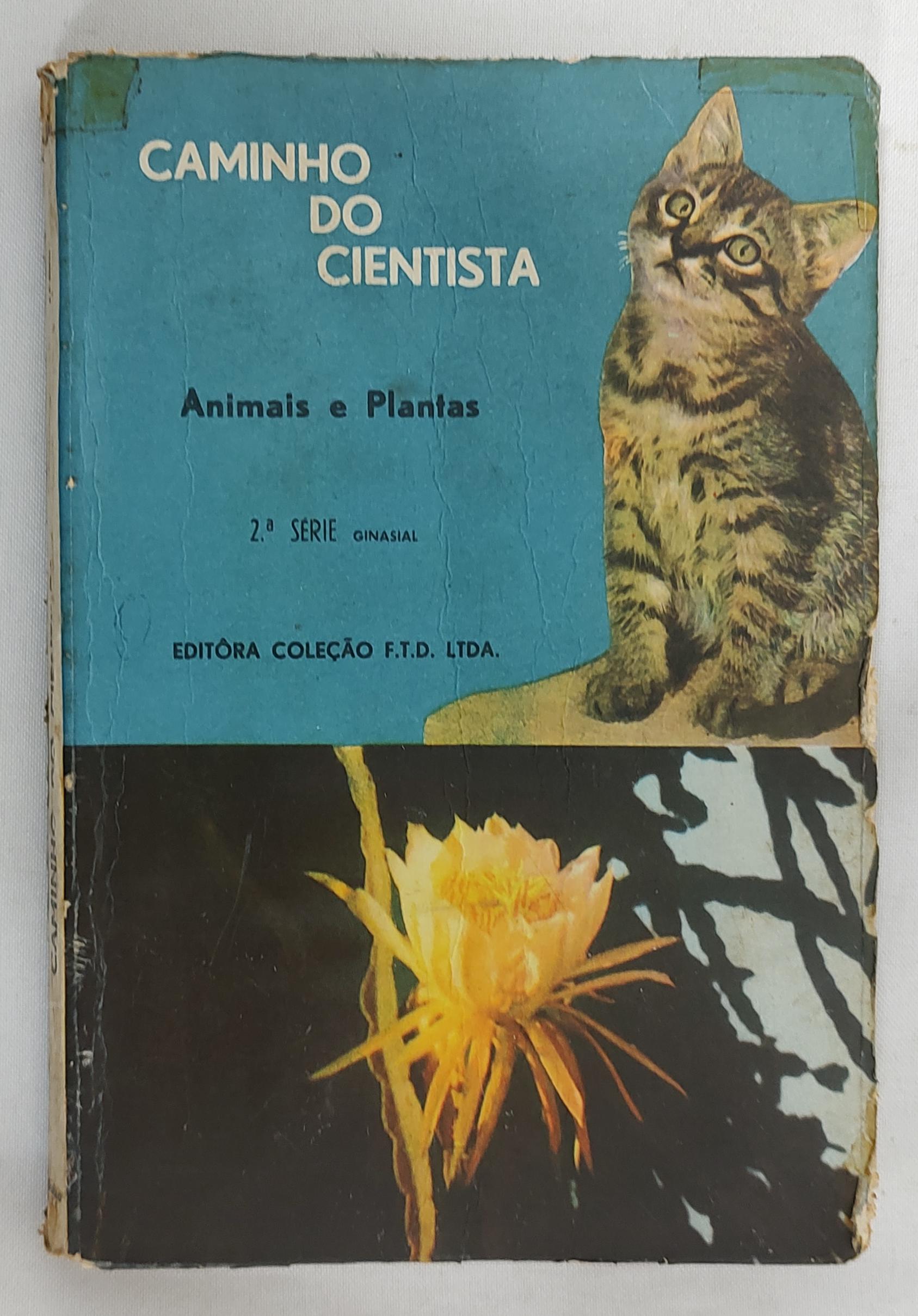alternative text