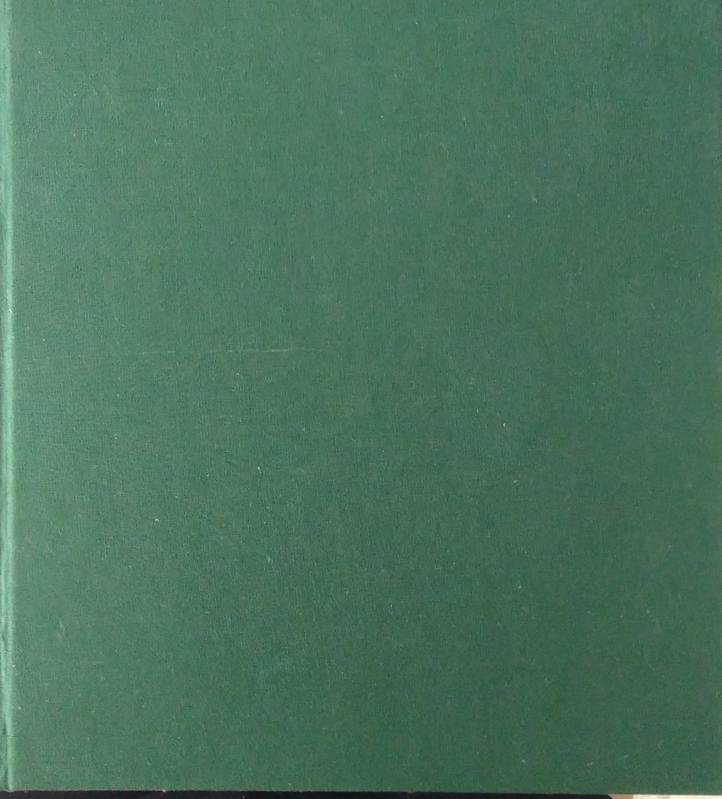 alternative text