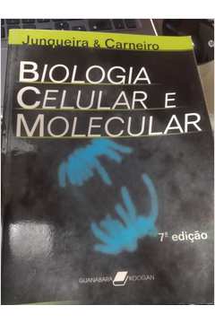 alternative text